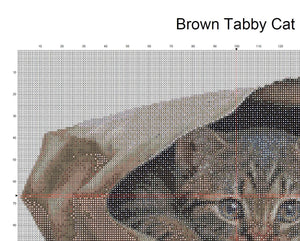 Tabby Kitten in Paper Bag Cross Stitch Pattern - Cute Cat Portrait PDF - High Detail Animal Needlepoint Chart - Pattern Keeper