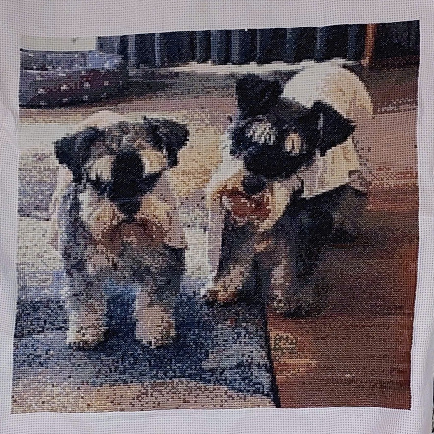Custom Photo Cross Stitch Kit - Personalized Print-on-Demand Needlepoint DIY