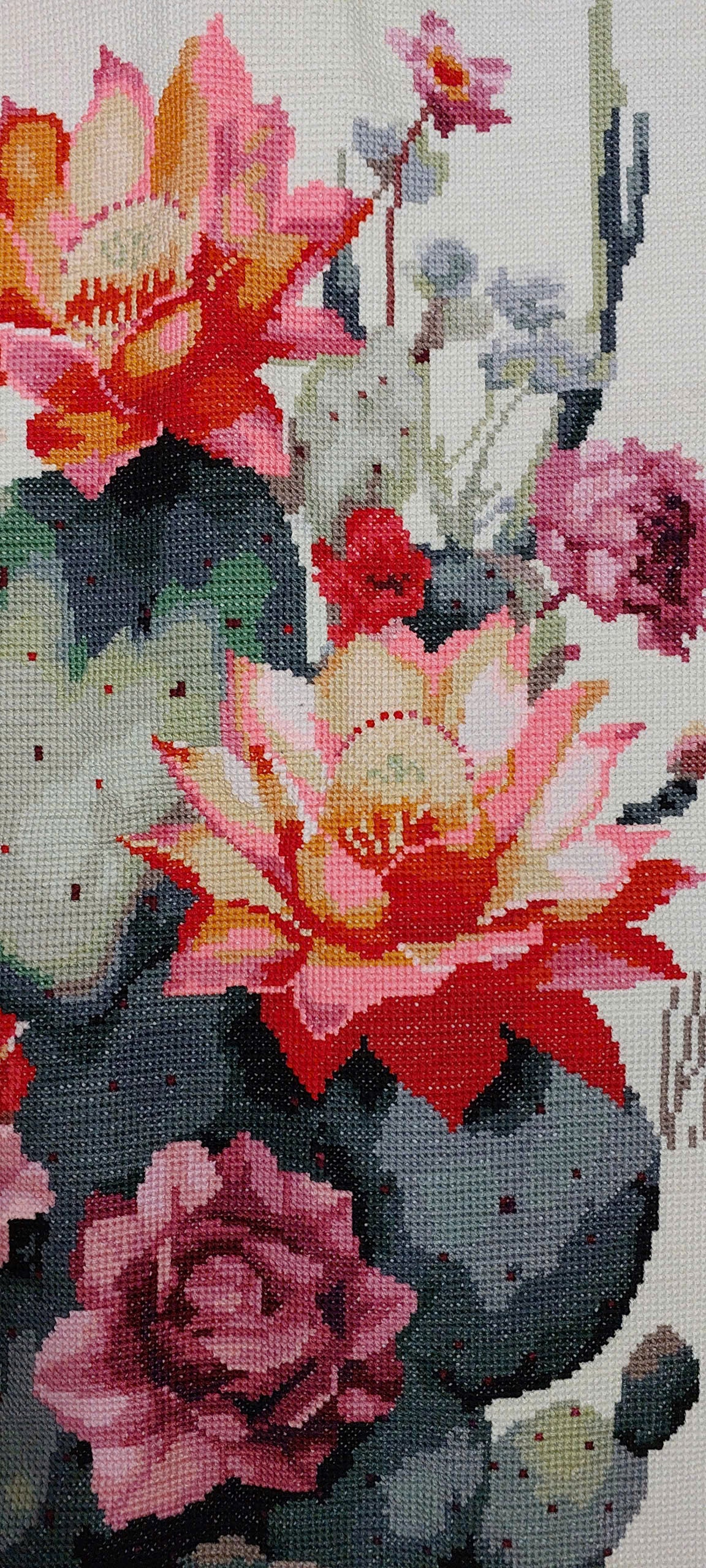 Finished Cross Stitch Wall Art - Blooming Desert Cactus